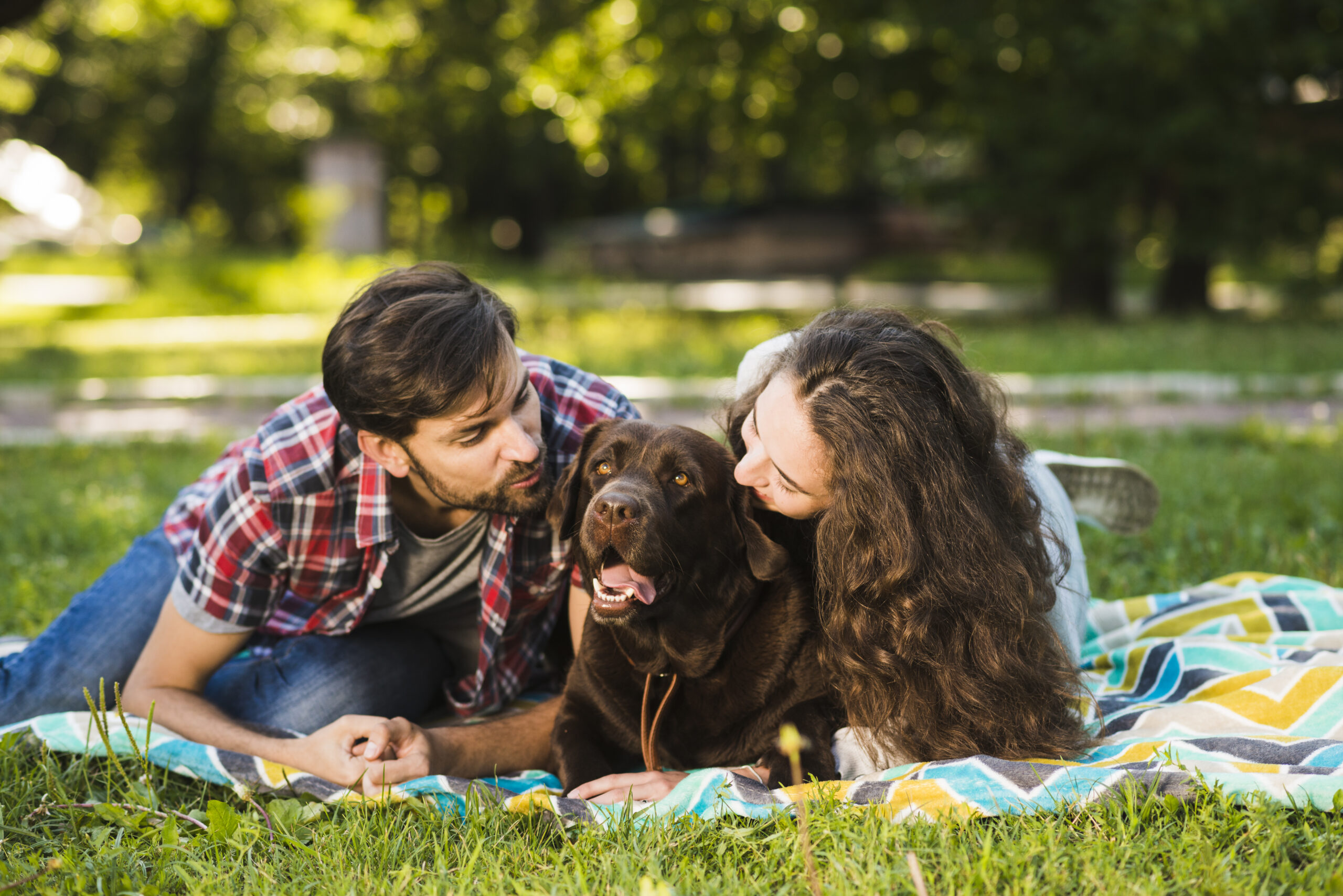 Flea-and-Tick-Prevention